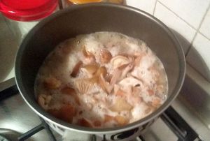 데친 뽕나무버섯