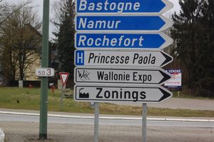 프랑스어 -ing 어미의 복수형 표지