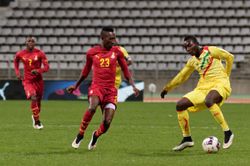 애풀은 아프리카 네이션스컵 토너먼트에서 세 개의 메달을 획득했다.