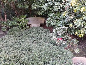 도르트문트의 브란디 가족 묘지