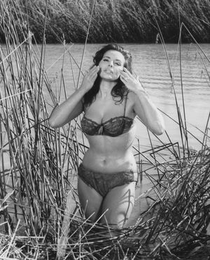 사를리, 1966년경