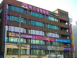 성형외과}}는 "성형외과"를 의미하며, 이 건물 전체가 성형외과 클리닉의 집합체이다.