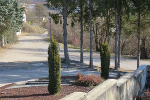 묘지 집단 매장지