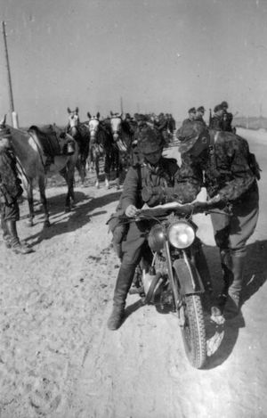 점령된 소련에서의 SS 기병, 1942년 6월