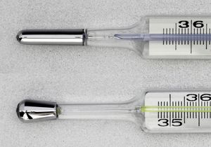 다양한 검사 프로브(상단: 범용 검사 프로브, 하단: 직장 검사 프로브)