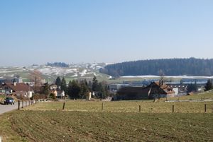 후트빌 타운과 주변 농장