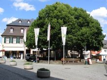 린덴 광장의 보리수