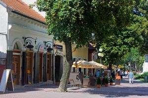 세체니 광장의 카페와 레스토랑