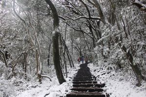 타이베이 양밍산의 강설