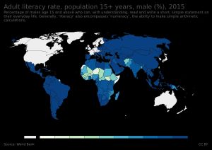 2015년 성인 남성 문해율 (%)