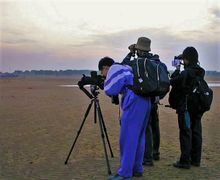 도구를 사용한 야생 조류 관찰 풍경