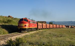 구리 이 플라케스 근처 드리탄 마을을 지나는 기차