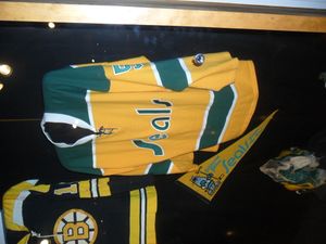 국제 하키 명예의 전당에 전시된 골든 실스의 노란색 홈 유니폼(복제품)과 색깔이 있는 스케이트