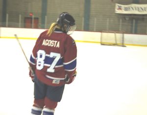 CWHL에서 플레이하는 동안의 어고스타