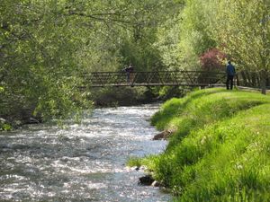 머리 시립 공원에 있는 리틀 코튼우드 크릭