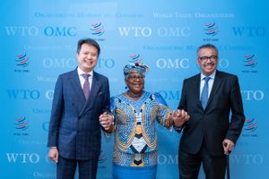 테워드로스와 WIPO의 다렌 탕, WTO의 응고지 오콘조-이웰라 (2023년)