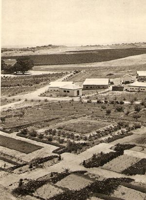 네스치오나, 1934년