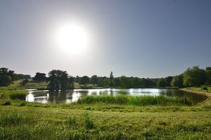 햄프스티드 히스의 모형 보트 연못(하이게이트 연못 3)