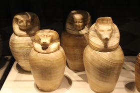 동물 머리 모양의 카노푸스 단지 (기원전 664~525년 이집트 제26왕조)