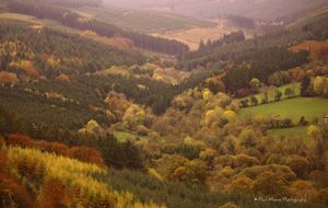 슬리브 블룸 산맥
