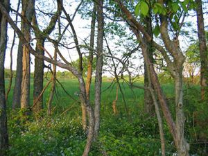 우드퍼드군에 있는 버클리 야생생물 보호구역