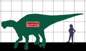 사람과의 크기 비교