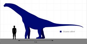 사람과의 크기 비교