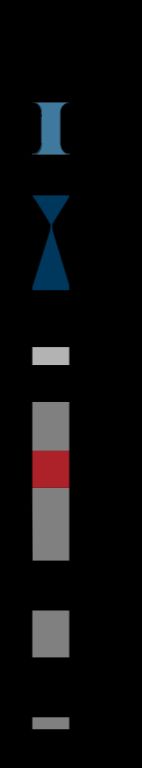 세포유전적 밴드의 예시