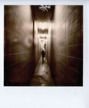 Impossible Project PX600 Silver Shade UV+ 필름으로 촬영