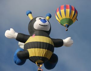 특수한 모양의 열기구