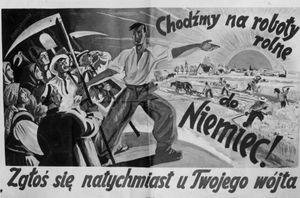 독일에서 일할 폴란드인을 모집하는 포스터, "독일에서 일을 하자! 폴란드 총독부에 신고하라"라고 적혀 있다.