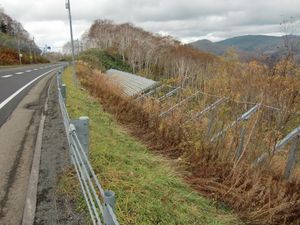일본에서 처음 설치된 취상 방지책 (국도 제230호선・나카야마 고개), 앞쪽은 방설판이 제거되고 지주만 남은 것