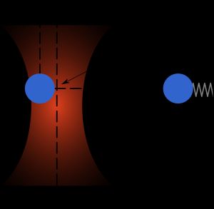 유전체 물체는 빔 허리 바로 위, 빔의 중심으로 끌려간다.