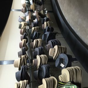 라이언 앤 사파리 파크 내 상점