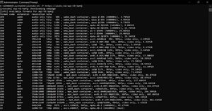 youtube-dl을 사용하여 Big Buck Bunny를 다운로드하는 모습