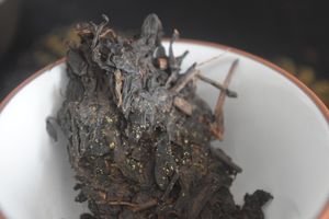 류바오의 흑차와 Aspergillus cristatus(이전 Eurotium cristatum)