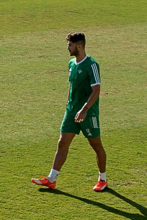 2015년 베티스 소속 피치니