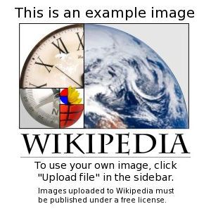 브로크하우스 멀티미디어 프리미엄