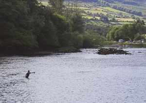 보로우 강을 따라 낚시
