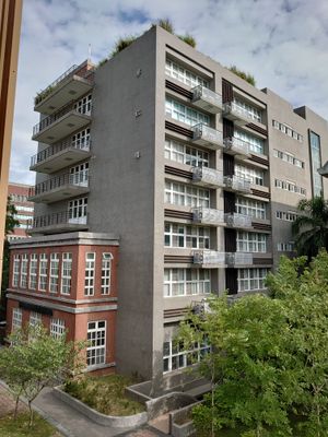 학교의 신 홍루