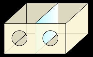 V.S. 라마찬드란이 개발한 환상 사지 치료에 사용되는 거울 상자