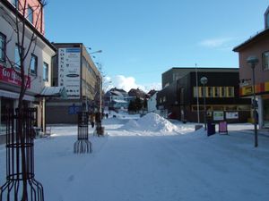 시내의 보행자 거리