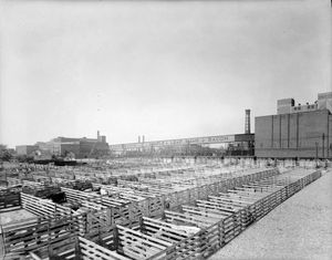 토론토의 캐나다 패커스 공장, ca. 1950