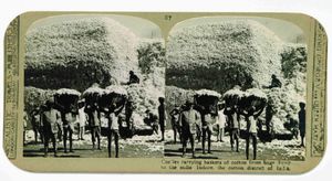 쿨리들이 거대한 덤프에서 제분소로 면화 바구니를 운반하는 모습; 인도의 면화 지구인 인도르, 1900년경