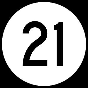 20px
