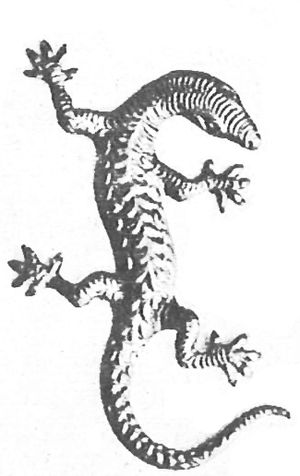 책을 장식하는 도롱뇽 그림 (1920년대, 미국)
