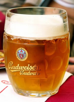 부데요비츠키 부드바르 페일 라거 한 잔