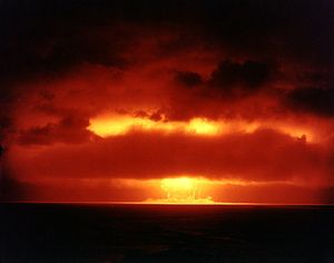 그린하우스 작전 &ndash; Dog 시험