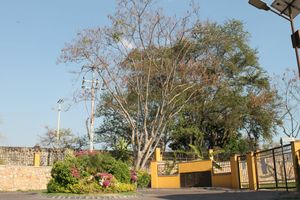 야우테펙 데 사라고사