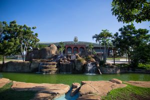 파우마스의 해바라기 광장